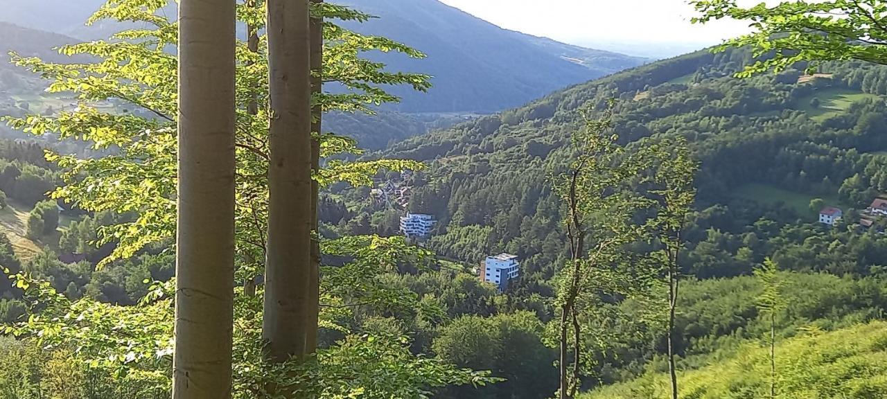 Kurort Kozubnik Apartament 33 Aparthotel Porabka Bagian luar foto